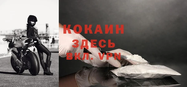 гидра Белокуриха