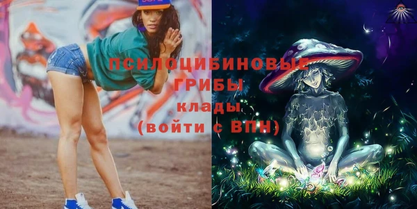 гидра Белокуриха