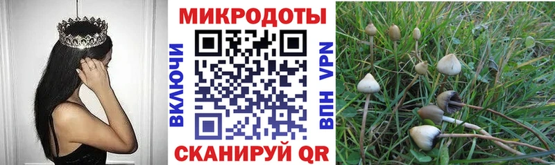Псилоцибиновые грибы мухоморы  блэк спрут онион  Валуйки 